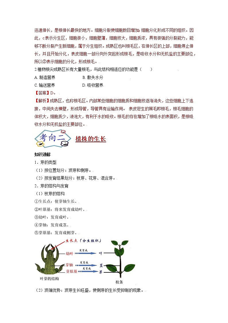 初中生物一轮复习【讲通练透】 考点13 植株的生长03
