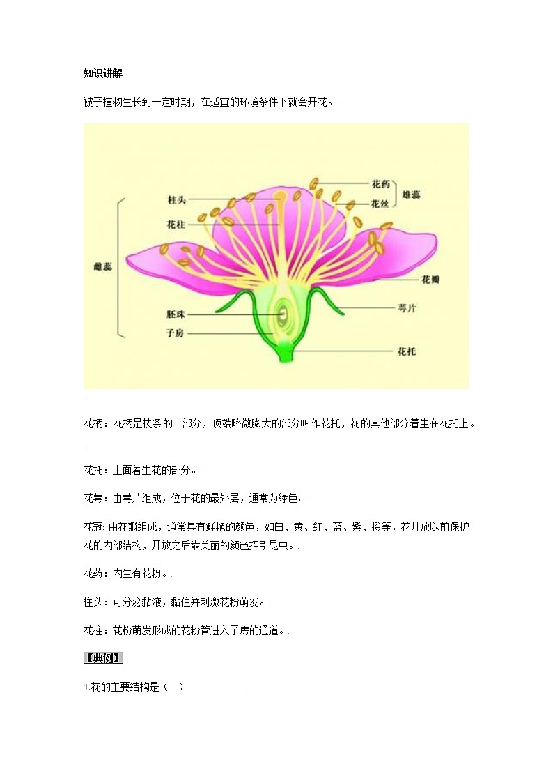 初中生物一轮复习【讲通练透】 考点14 开花和结果02