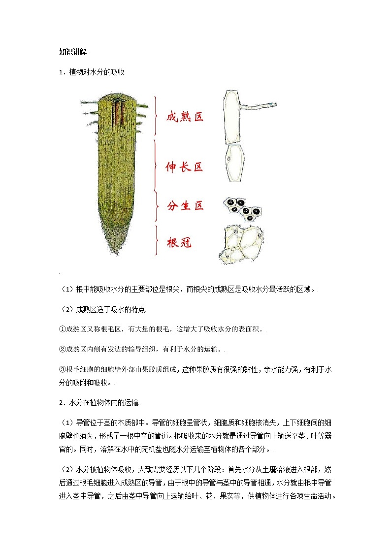 初中生物一轮复习【讲通练透】 考点15 植物的蒸腾作用02