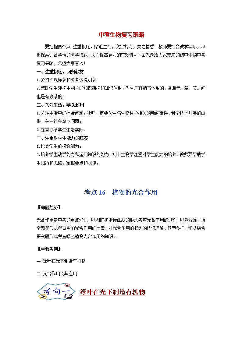 初中生物一轮复习【讲通练透】 考点16 植物的光合作用01