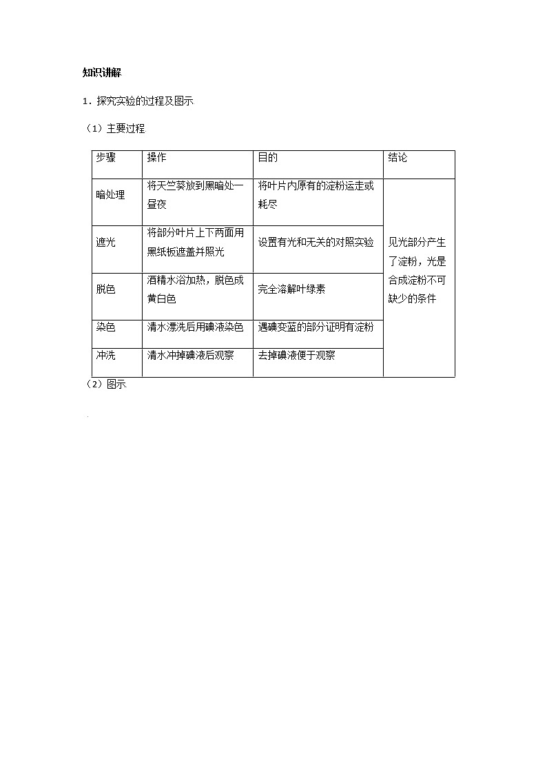 初中生物一轮复习【讲通练透】 考点16 植物的光合作用02