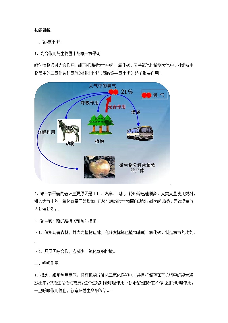 初中生物一轮复习【讲通练透】 考点17 生物圈的碳-氧平衡及植物的呼吸作用02