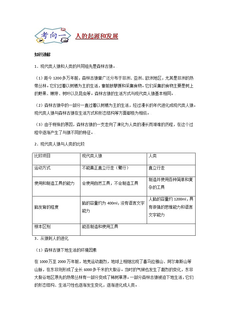 初中生物一轮复习【讲通练透】 考点18 人的由来02