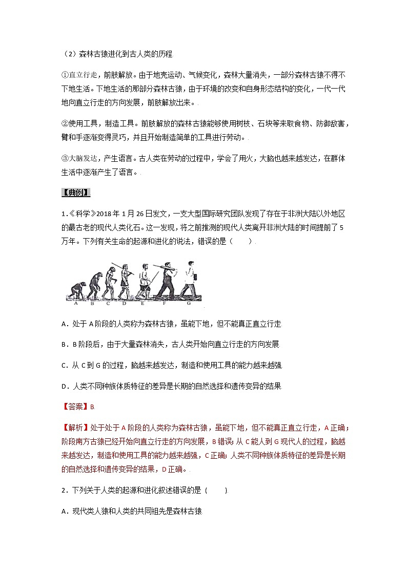 初中生物一轮复习【讲通练透】 考点18 人的由来03