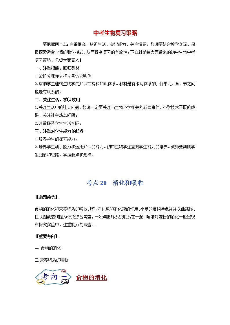 初中生物一轮复习【讲通练透】 考点20 消化和吸收01