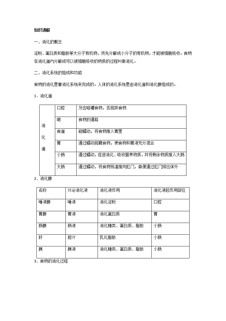初中生物一轮复习【讲通练透】 考点20 消化和吸收02