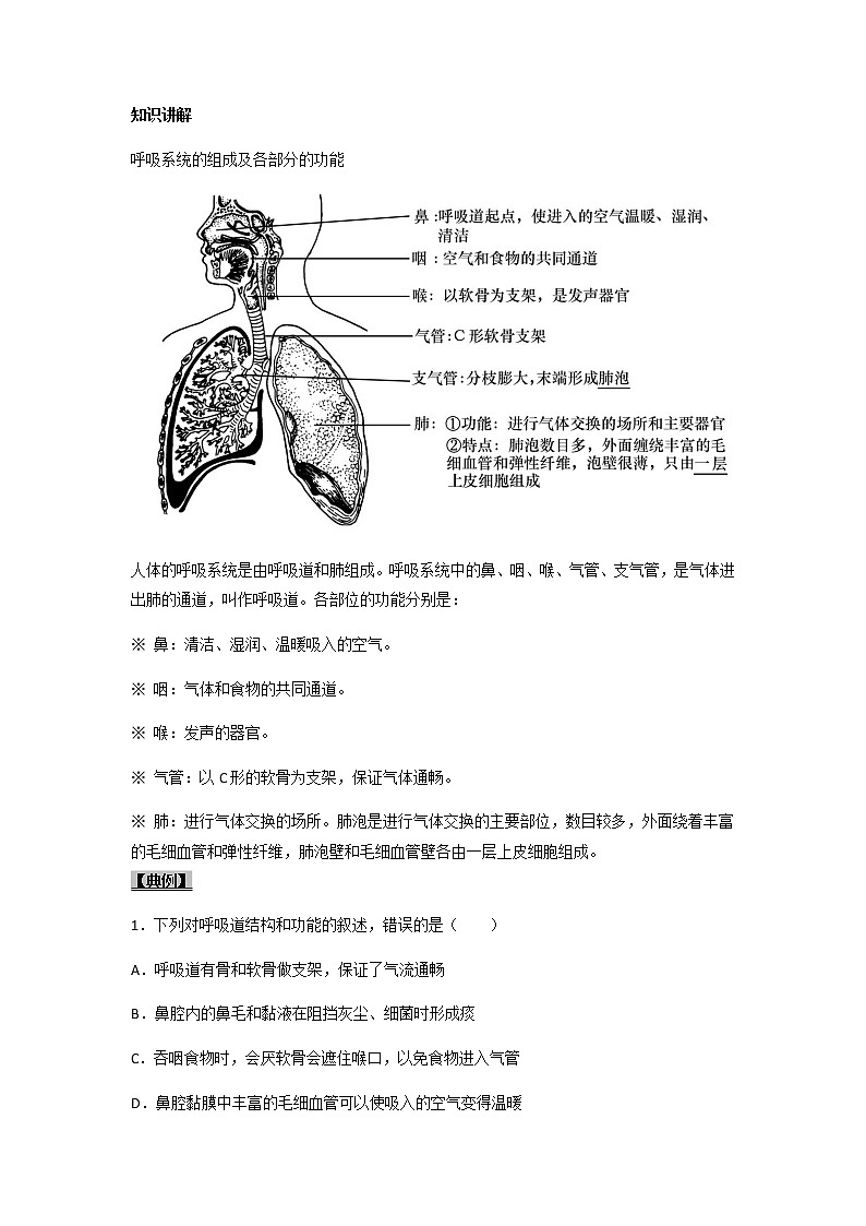 考点21 人体的呼吸-【讲通练透】一轮第2页