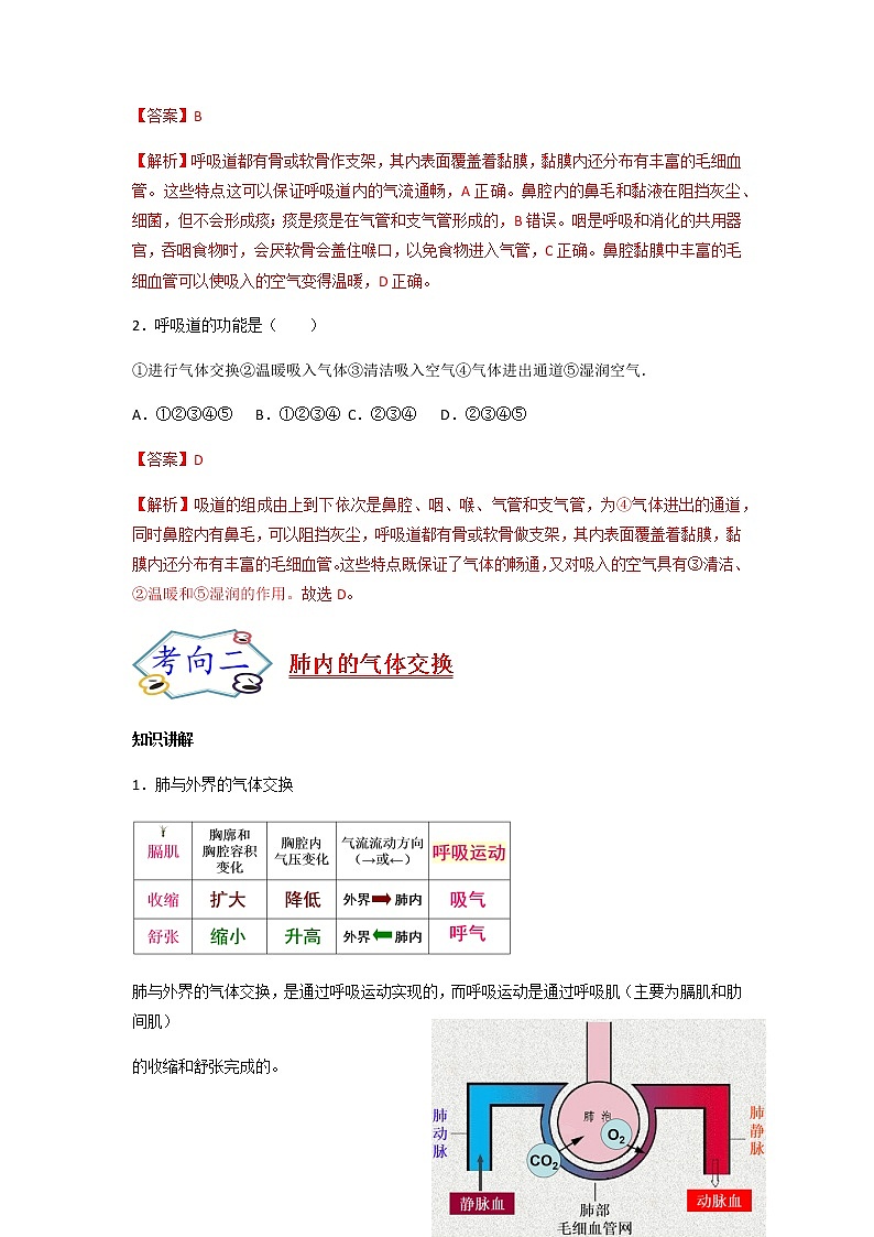 考点21 人体的呼吸-【讲通练透】一轮第3页