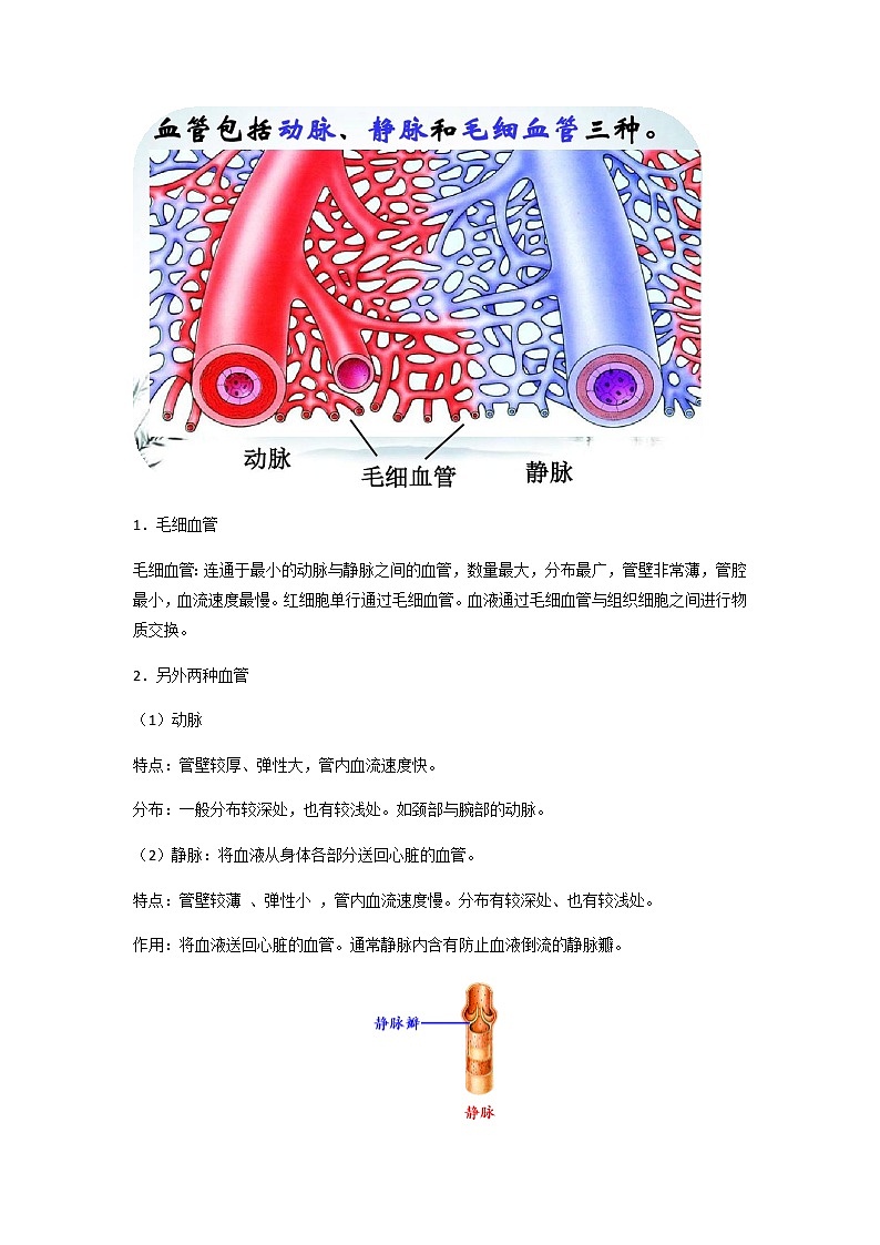 初中生物一轮复习【讲通练透】 考点23 血管02