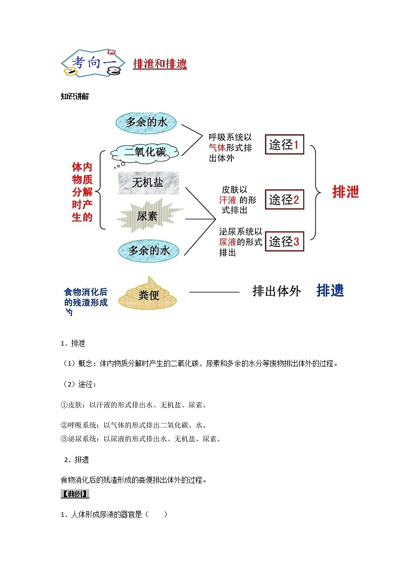 初中生物一轮复习【讲通练透】 考点25 人体内废物的排出02