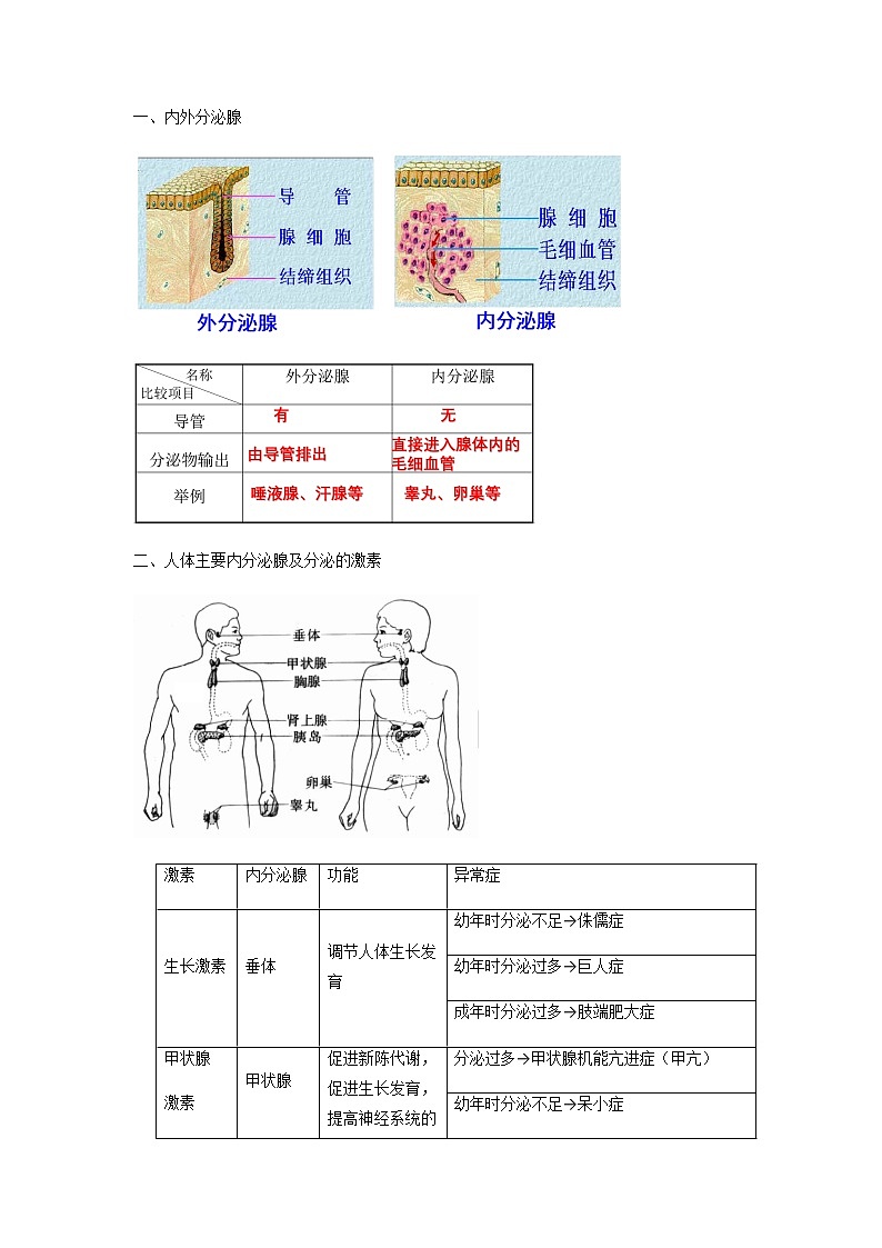 初中生物一轮复习【讲通练透】 考点28 激素调节02
