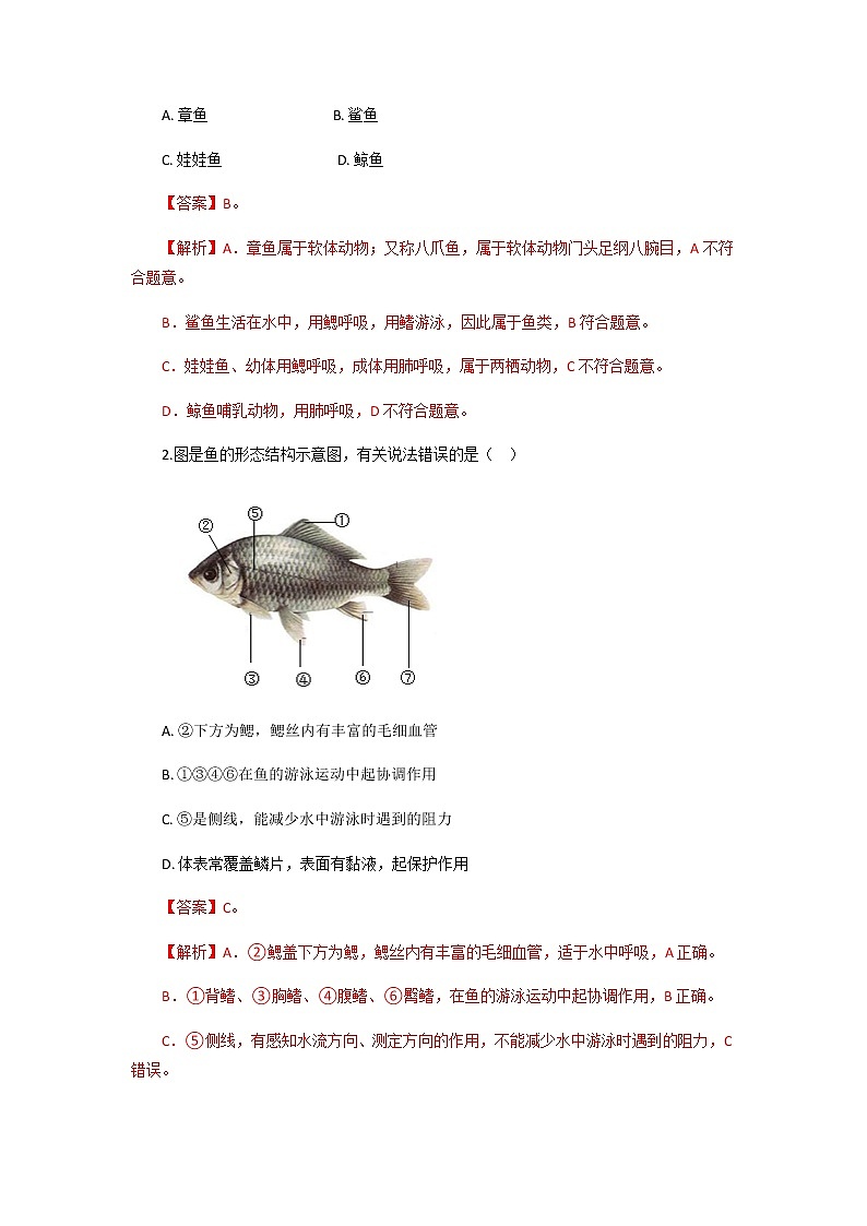 初中生物一轮复习【讲通练透】 考点31 +脊椎动物（变温动物）03