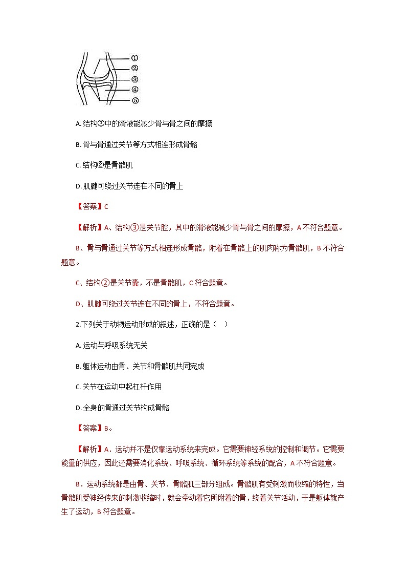 初中生物一轮复习【讲通练透】 考点33 动物的运动03