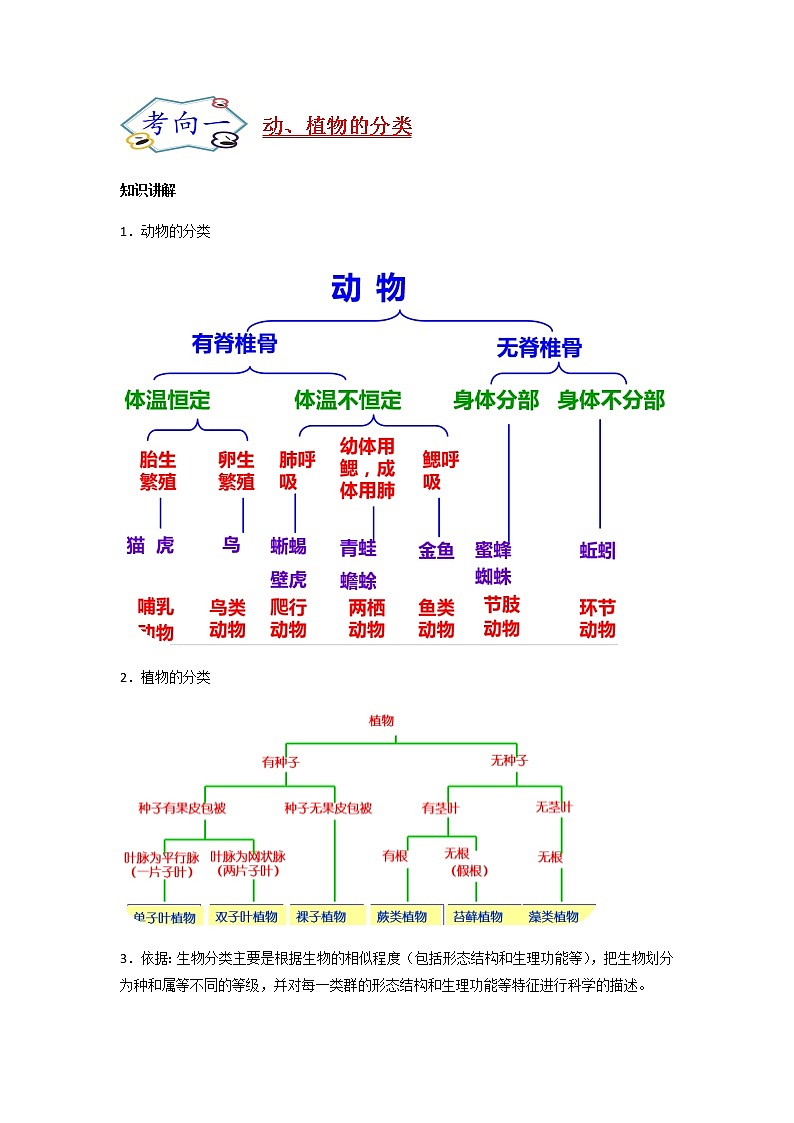 考点36 生物的分类及生物的多样性-【讲通练透】一轮第2页