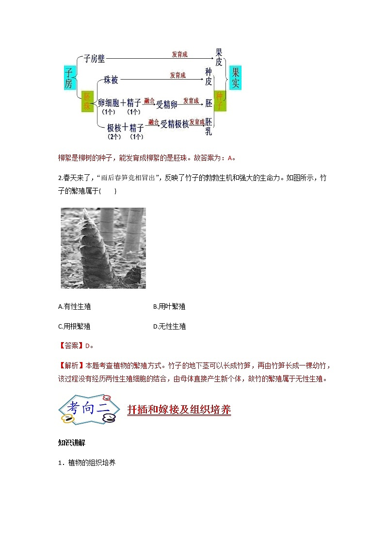 初中生物一轮复习【讲通练透】 考点37 植物的生殖03