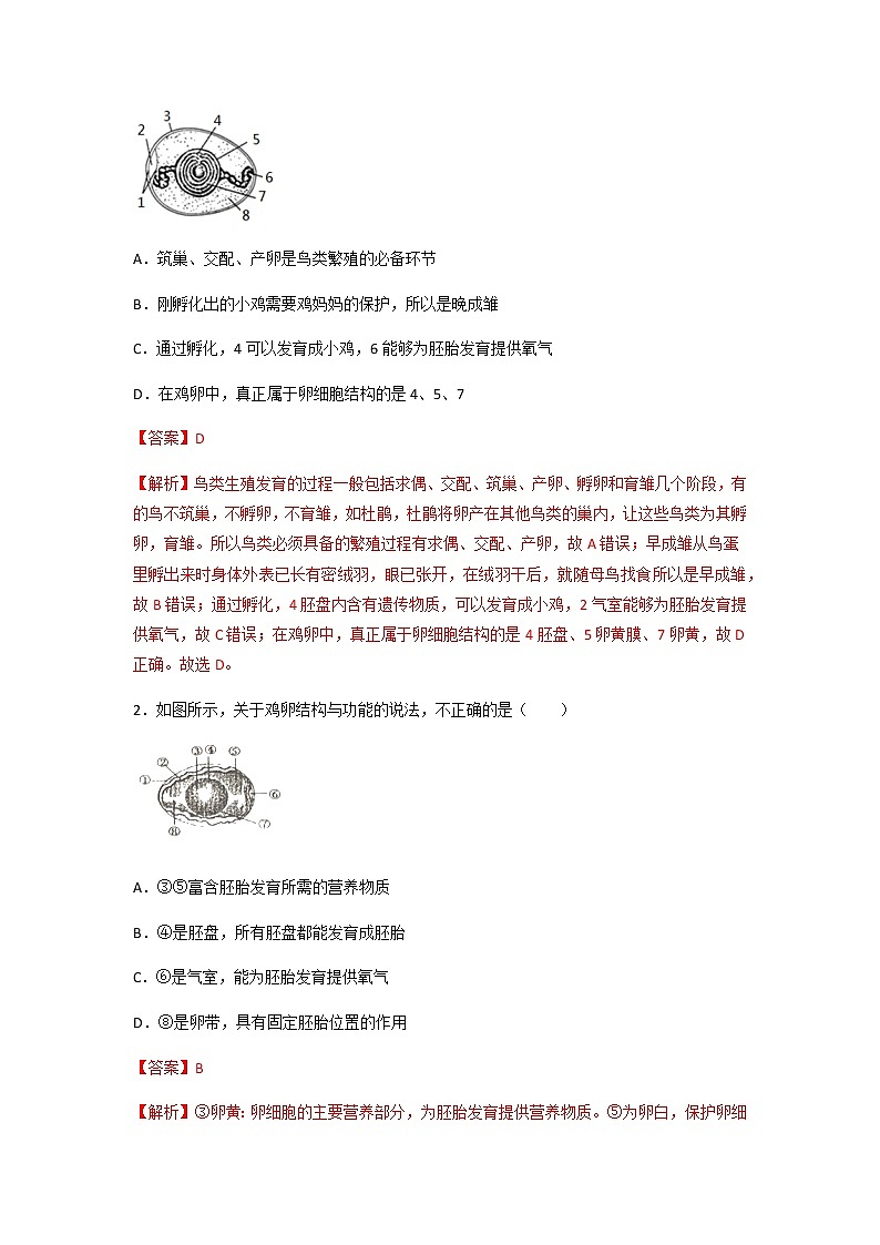 初中生物一轮复习【讲通练透】 考点39 鸟的生殖和发育03