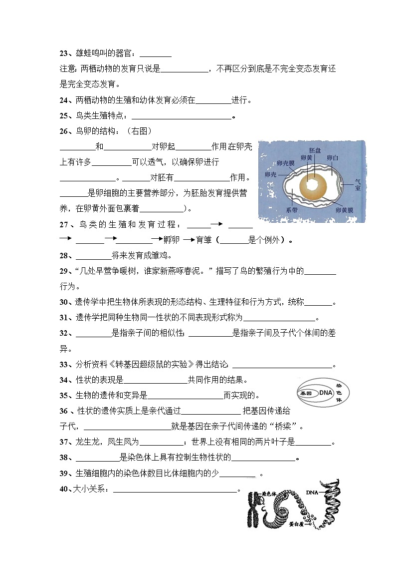 中考生物三轮冲刺过关 第07单元 生物圈中生命的延续和发展（挖空版）第3页
