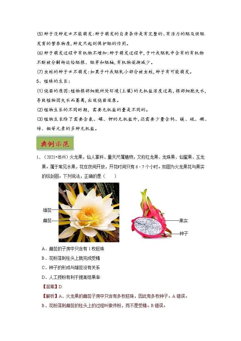中考生物三轮冲刺过关 专题03  绿色开花植物的一生（教师版）第3页