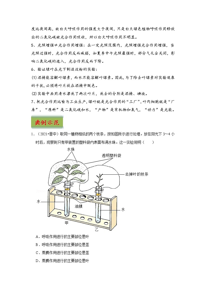 中考生物三轮冲刺过关 专题04  绿色植物的蒸腾作用、光合作用和呼吸作用02