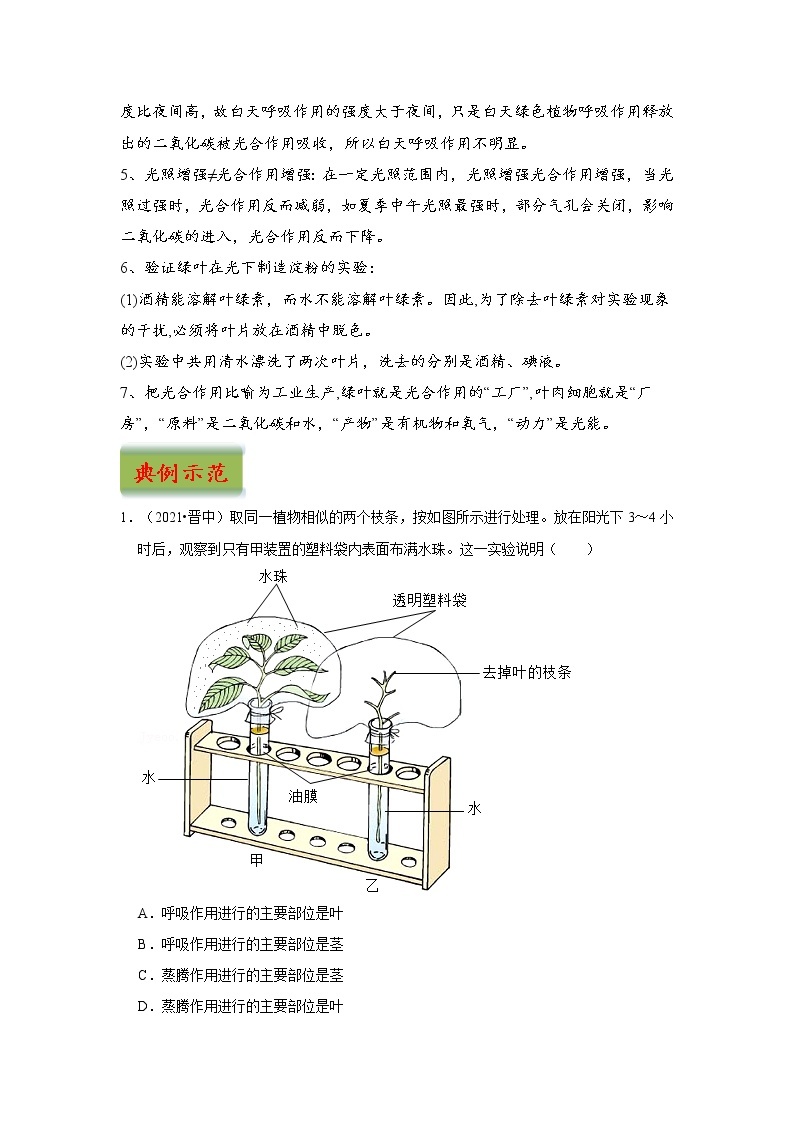 中考生物三轮冲刺过关 专题04  绿色植物的蒸腾作用、光合作用和呼吸作用02