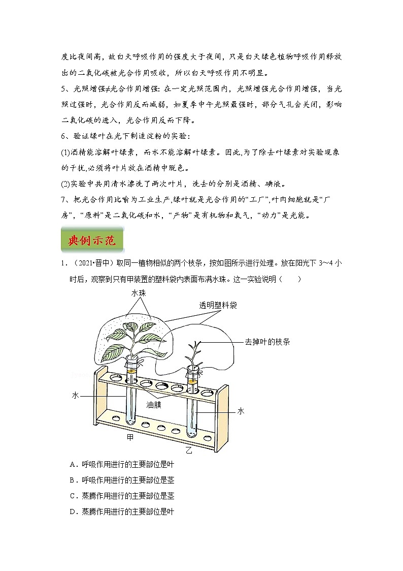 中考生物三轮冲刺过关 专题04  绿色植物的蒸腾作用、光合作用和呼吸作用02