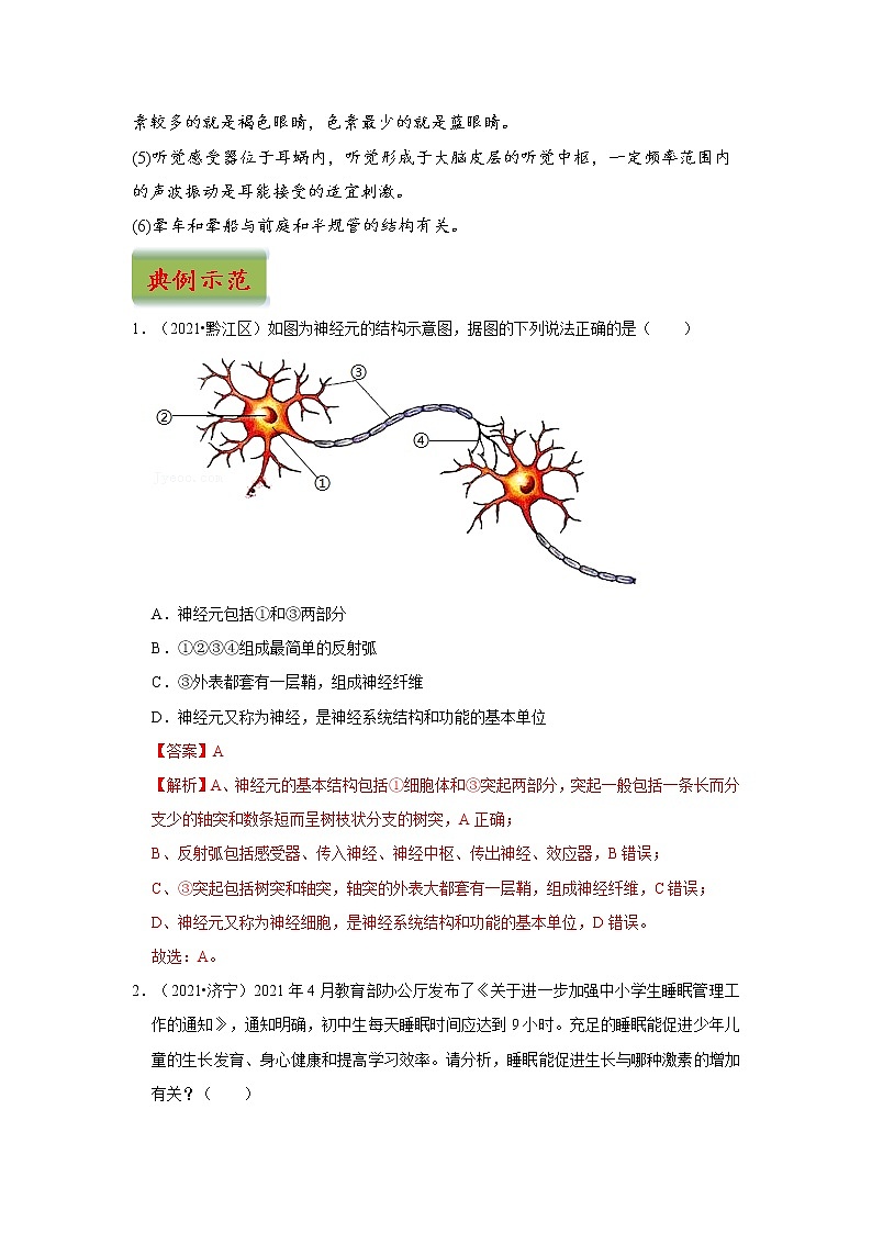 中考生物三轮冲刺过关 专题07  人体生命活动的调节（教师版）第3页