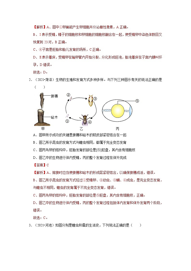中考生物三轮冲刺过关 专题09  生物的生殖和发育（学生版）第3页