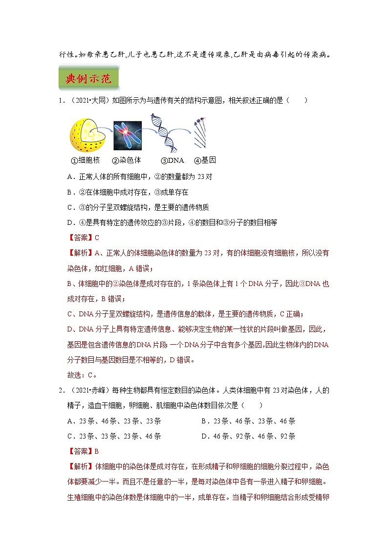 中考生物三轮冲刺过关 专题10  生物的遗传和变异03