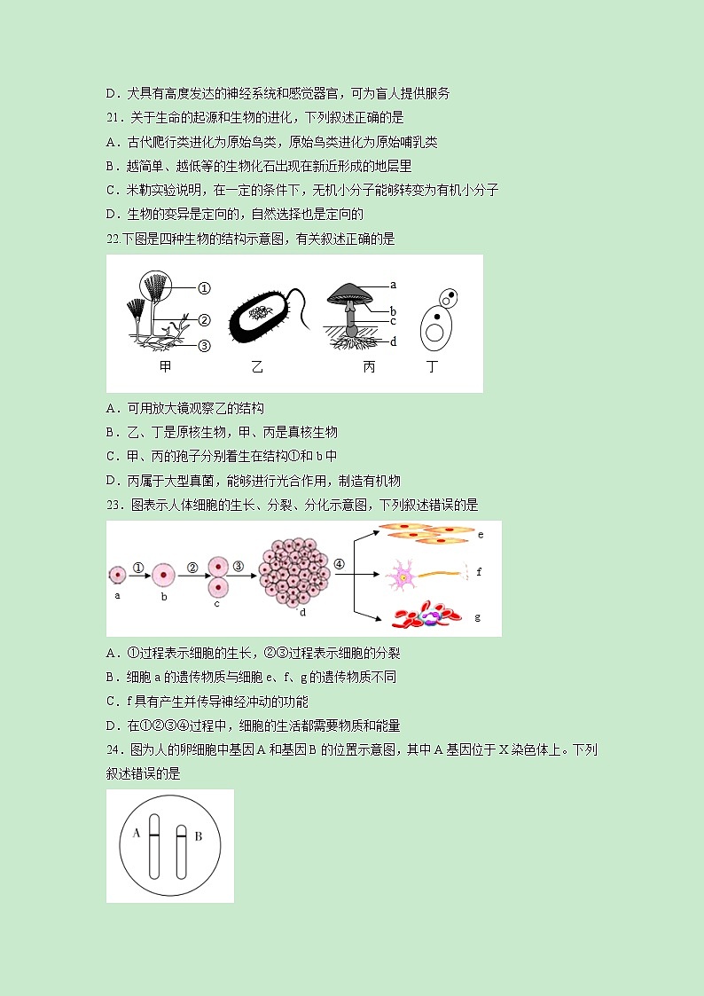 黄金卷02-【赢在中考·黄金8卷】备战2023年中考生物全真模拟卷（福建专用）03