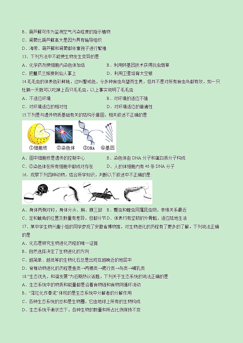 黄金卷03-【赢在中考·黄金8卷】备战2023年中考生物全真模拟卷（福建专用）02