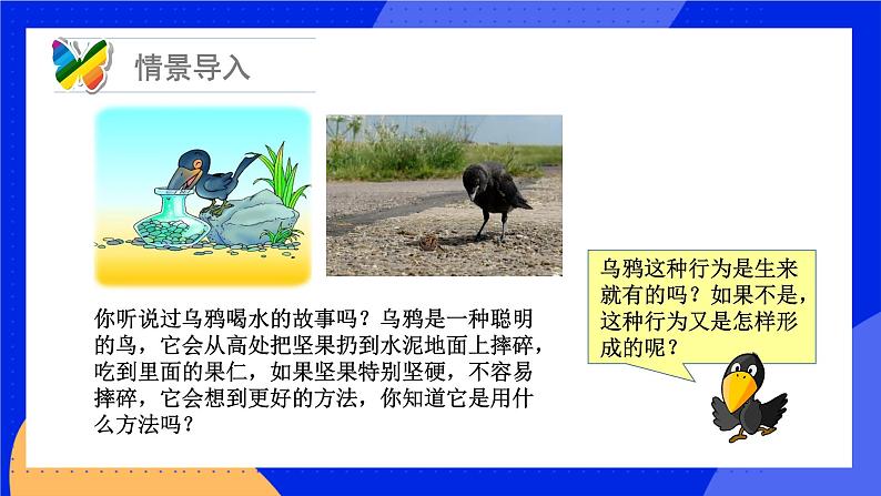 16.1 先天性行为和后天学习行为 课件+练习+素材 北师大版八年级生物上册03