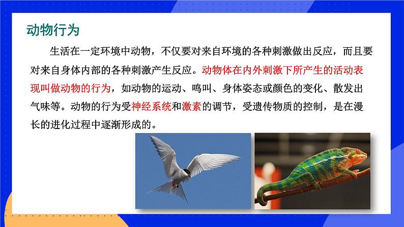 16.1 先天性行为和后天学习行为 课件+练习+素材 北师大版八年级生物上册05