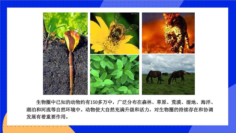 17.1 动物在生物圈中的作用 课件+练习+素材 北师大版八年级生物上册04