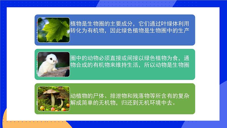 17.1 动物在生物圈中的作用 课件+练习+素材 北师大版八年级生物上册07