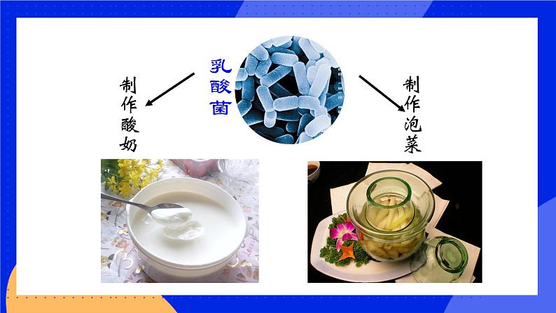 18.2 微生物与人类的关系 课件 北师大版八年级生物上册第6页