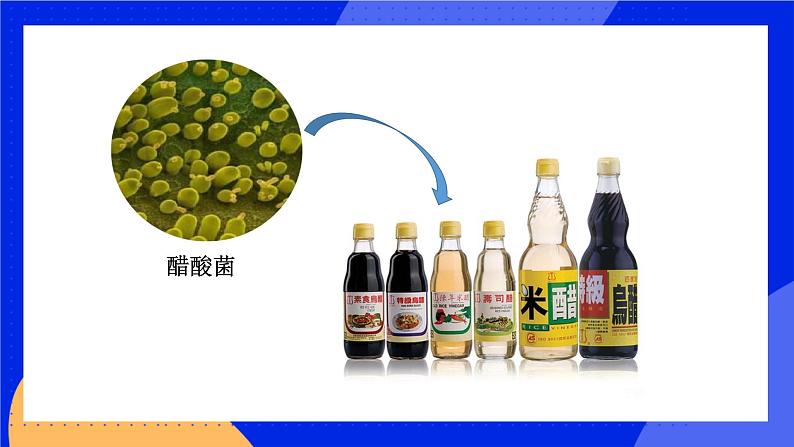 18.2 微生物与人类的关系 课件 北师大版八年级生物上册第8页
