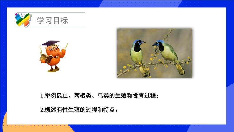 19.2 动物的生殖和发育 课件+练习+素材 北师大版八年级生物上册04