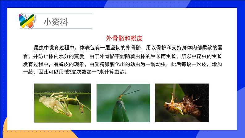 19.2 动物的生殖和发育 课件+练习+素材 北师大版八年级生物上册08