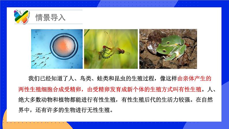 19.3 其他生物的生殖 课件+练习+素材 北师大版八年级生物上册03