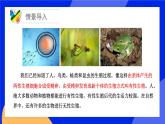 19.3 其他生物的生殖 课件+练习+素材 北师大版八年级生物上册