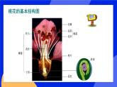 19.3 其他生物的生殖 课件+练习+素材 北师大版八年级生物上册