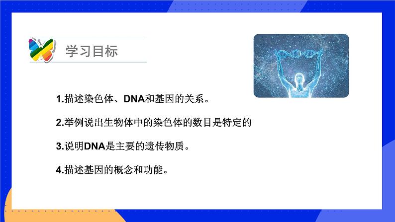 20.2 性状遗传的物质基础 课件+练习+素材 北师大版八年级生物上册04