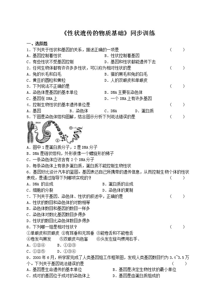 20.2 性状遗传的物质基础 课件+练习+素材 北师大版八年级生物上册01