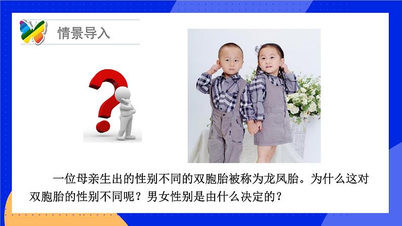 20.4 性别和性别决定 课件+练习+素材 北师大版八年级生物上册03