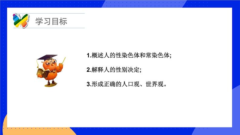 20.4 性别和性别决定 课件+练习+素材 北师大版八年级生物上册05