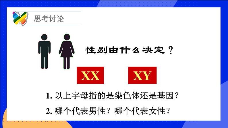 20.4 性别和性别决定 课件+练习+素材 北师大版八年级生物上册06
