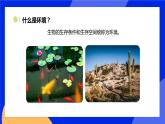 1.1.2 生物与环境的相互影响 课件 北师大版七年级生物上册