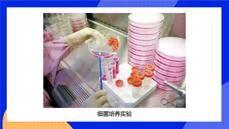 1.2.1 生物学是探索生命的科学 课件 北师大版七年级生物上册06