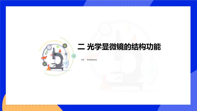 3.1.1 细胞的基本结构和功能 课件 北师大版七年级生物上册08