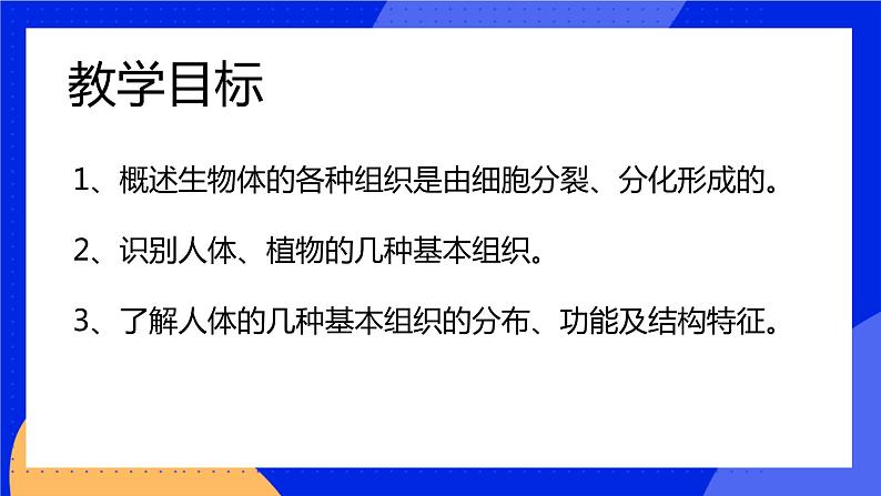 4.1 细胞分化形成组织 课件 北师大版七年级生物上册07